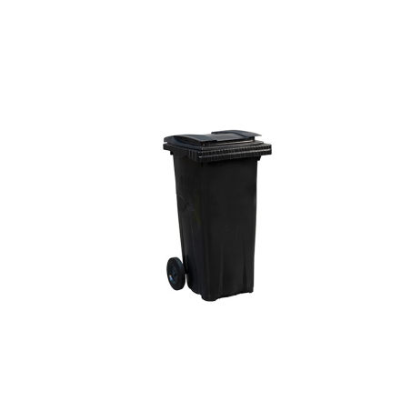 Conteneur &agrave; d&eacute;chets sur roues Ergonomique 120 L - WCO-1200-020 - Linum