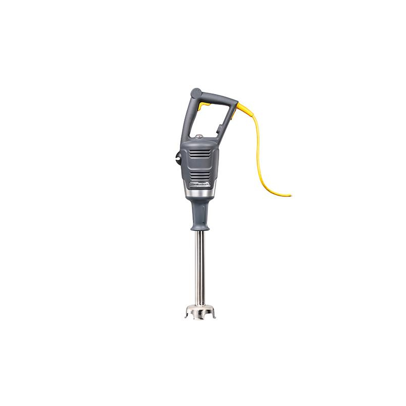 Mixeur Plongeant Puissant - HBR-0012-000 - Linum