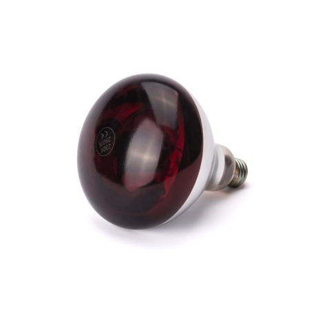 Ampoule infrarouge chauffante E27, incassable, 250W, lumi&egrave;re rouge pour lampe cuisine - Hendi