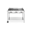 Barbecue Professionnel Gaz Green Fire 3 Br&ucirc;leurs Profi Line 17,4kW - Hendi