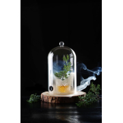 Cloche en Verre Cocktail pour Fumoir avec A&eacute;ration ⌀130mm - Hendi