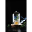 Cloche en Verre Cocktail pour Fumoir avec A&eacute;ration ⌀130mm - Hendi