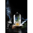 Cloche en Verre Cocktail pour Fumoir avec A&eacute;ration ⌀130mm - Hendi