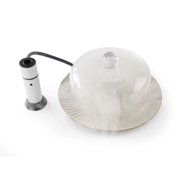 Cloche en Verre pour Fumoir Professionnel, Pr&eacute;sentation Spectaculaire, ⌀275x(H)140mm - Hendi