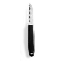 Couteau de d&eacute;coration professionnel inox 200mm - Hendi