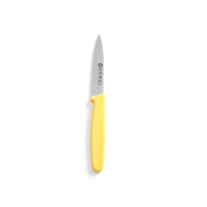 Couteau &eacute;plucheur professionnel en acier inoxydable (L)175mm - Hendi