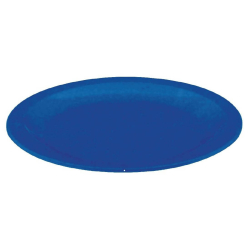 Polycarbonaat plaat blauw...