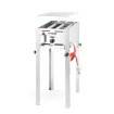 Grill Gaz Mini Professionnel Inox 5,8kW (340x540xH840mm) 154700 - Hendi