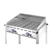 Grille Barbecue Professionnelle GN 1/1 Acier Chrom&eacute; 325x530mm pour Green Fire Profi Line - Hendi