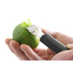 Zesteur &agrave; Citron Professionnel Noir 155mm - Hendi