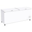 Cong&eacute;lateur bahut 655 litres - Diamond - SCO66-C6