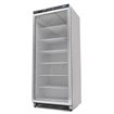 Cong&eacute;lateur - 600 L - noir - avec porte en verre - Maxima - 09405033