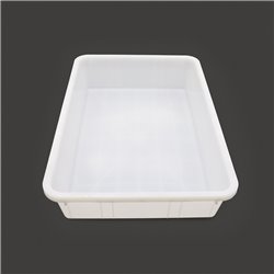 R&eacute;frig&eacute;rateur &agrave; poissons - 600 L - Conteneur en plastique (60 x 40 cm) - Maxima - 09401130