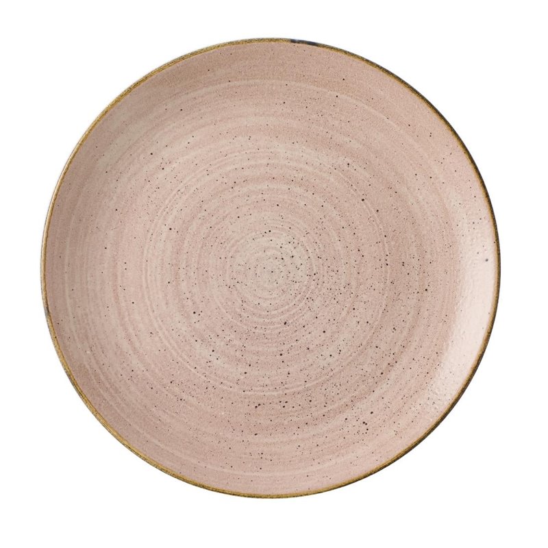 Assiettes avec rebord Churchill Stonecast Raw Terracotta Evolve 260mm (Lot de 12) - Gastronoble - CU652