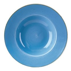 Bols &agrave; bord large Churchill Stonecast Cornflower Blue 277mm (Lot de 12) - Gastronoble - DF782