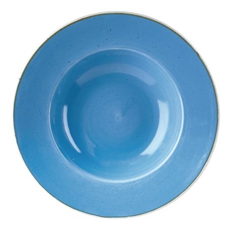 Bols &agrave; bord large Churchill Stonecast Cornflower Blue 277mm (Lot de 12) - Gastronoble - DF782