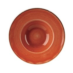 Bols &agrave; bord large Churchill Stonecast Spiced Orange 239mm (Lot de 12) - Gastronoble - DF795