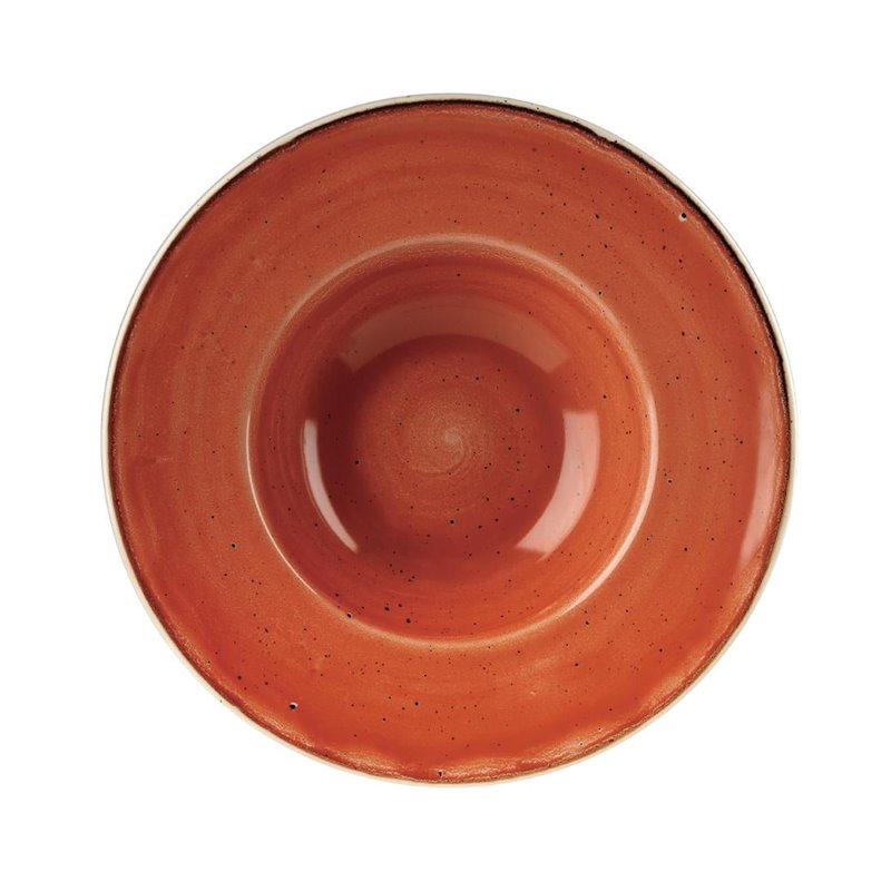 Bols &agrave; bord large Churchill Stonecast Spiced Orange 239mm (Lot de 12) - Gastronoble - DF795