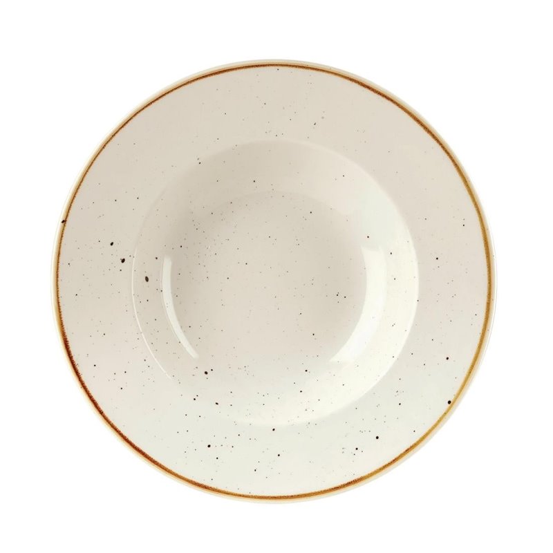 Bols &agrave; bord large Churchill Stonecast Barley White 240mm (Lot de 12) - Gastronoble - DF799