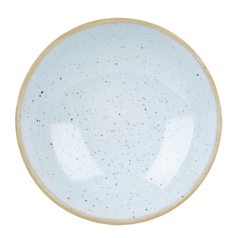 Assiettes coupes rondes Churchill Stonecast Duck Egg Blue 182mm (Lot de 12) - Gastronoble - DK505