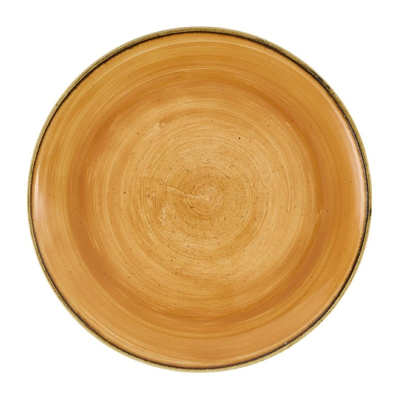 Assiettes avec rebord Churchill Stonecast Tangerine 260mm (Lot de 12) - Gastronoble - DX773