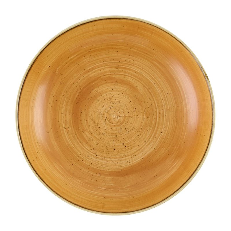 Bols Churchill Stonecast Tangerine 248mm (Lot de 12) - Gastronoble - DX776