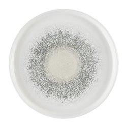 Assiettes avec rebord Churchill Studio Prints Fusion Agate Grey 260mm (Lot de 6) - Gastronoble - DX830