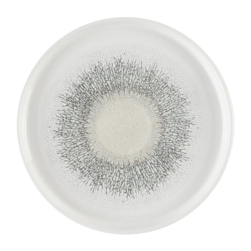 Assiettes avec rebord Churchill Studio Prints Fusion Agate Grey 260mm (Lot de 6) - Gastronoble - DX830