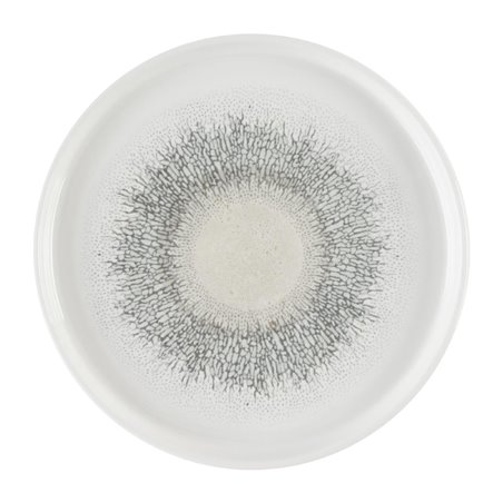 Assiettes avec rebord Churchill Studio Prints Fusion Agate Grey 210mm (Lot de 6) - Gastronoble - DX831