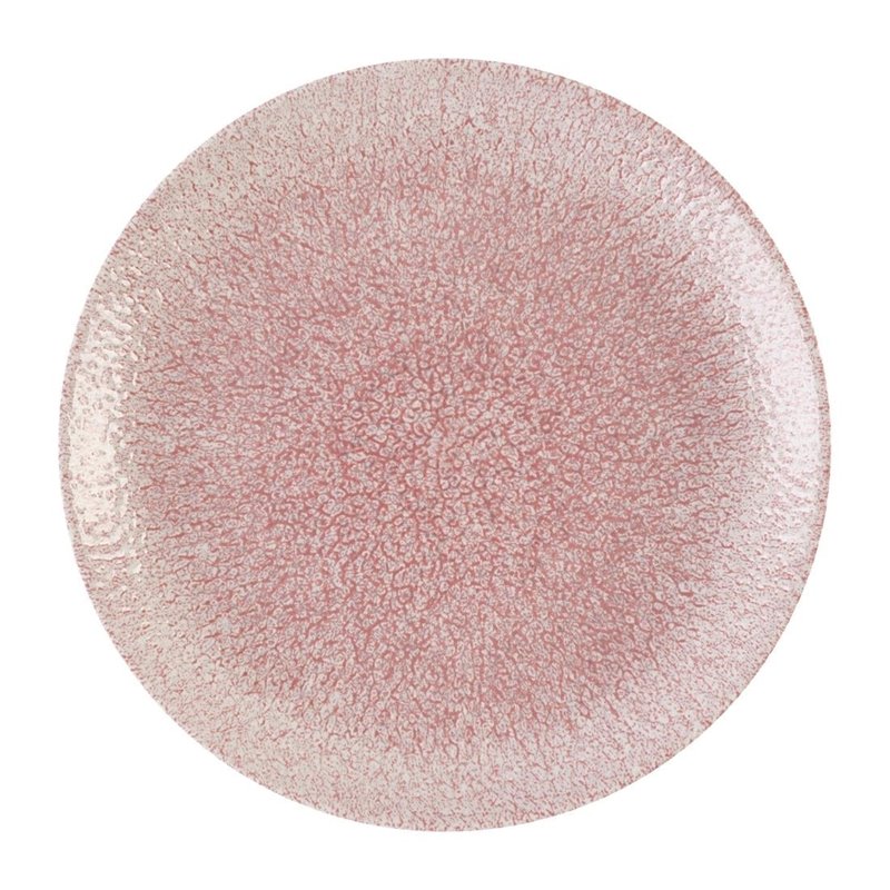 Assiettes rondes Churchill Studio Prints Raku Rose Quartz Pink 217mm (Lot de 12) - Gastronoble - DX838