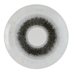 Assiettes rondes Churchill Studio Prints Fusion Black Evolve 285mm (Lot de 12) - Gastronoble - HR300