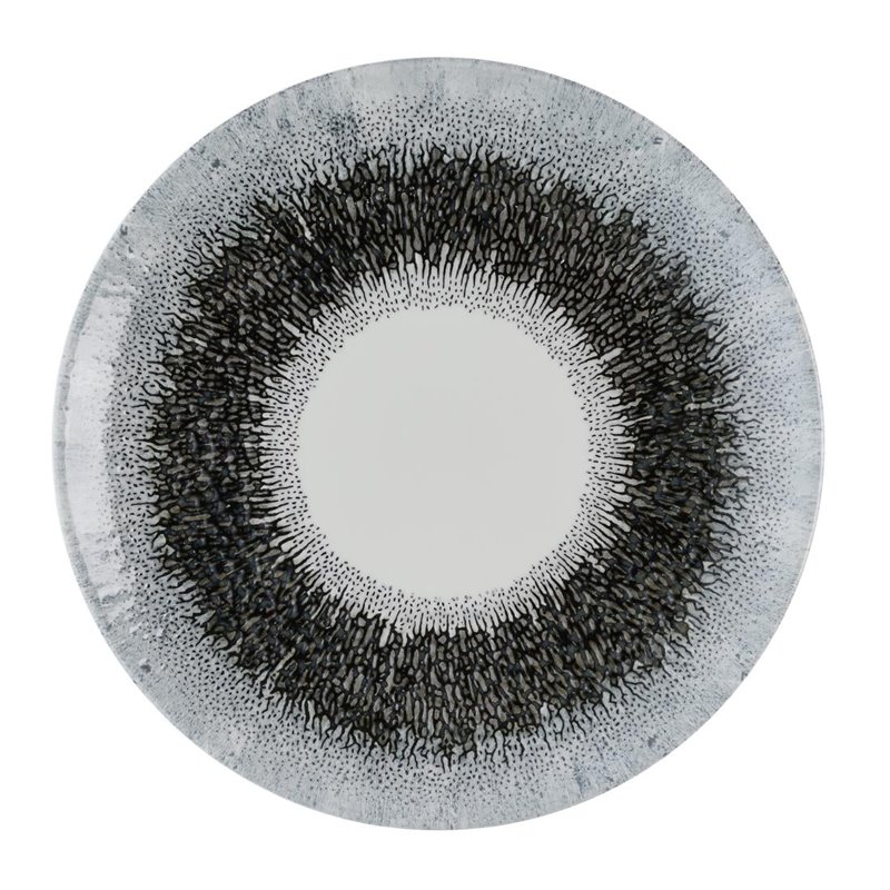 Assiettes rondes Churchill Studio Prints Fusion Black Evolve 220mm (Lot de 12) - Gastronoble - HR302