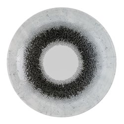 Assiettes coupes rondes Churchill Studio Prints Fusion Black Evolve 247mm (Lot de 12) - Gastronoble - HR303