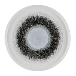 Assiettes avec rebord Churchill Studio Prints Fusion Black 260mm (Lot de 6) - Gastronoble - HR305