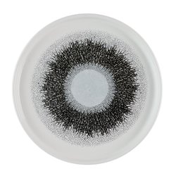 Assiettes avec rebord Churchill Studio Prints Fusion Black 210mm (Lot de 6) - Gastronoble - HR306