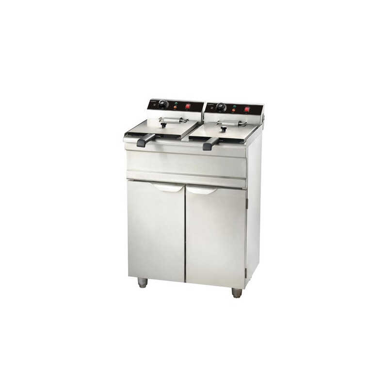Professionele elektrische friteuse