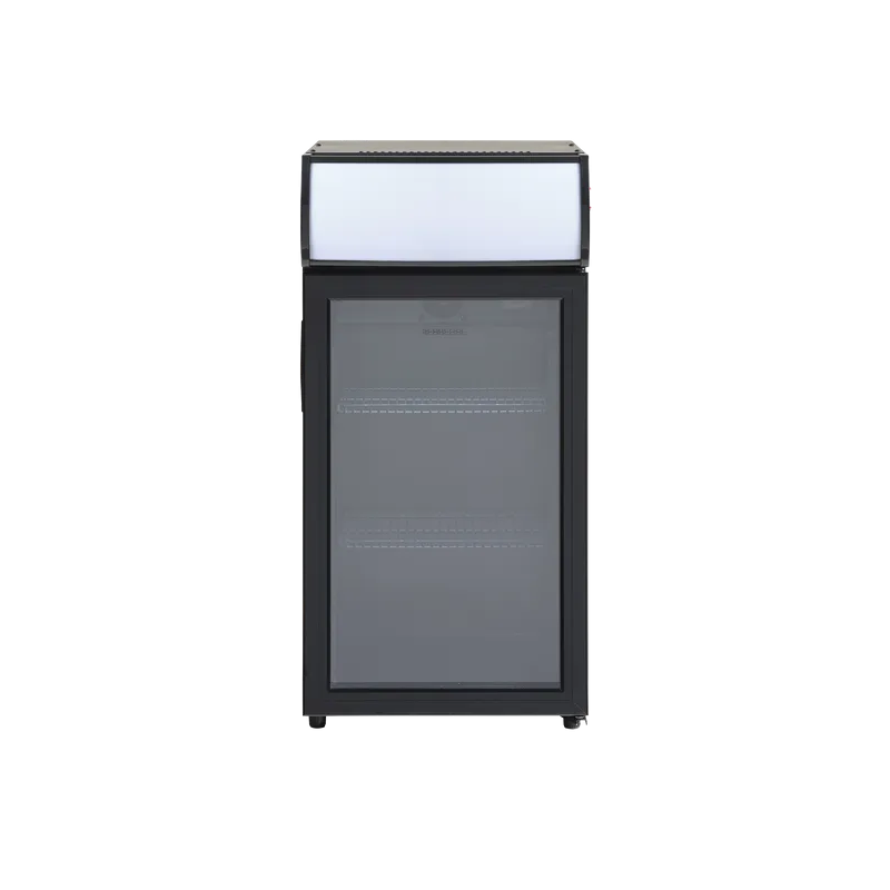 Koelkasten professioneel - Scandomestic - SC 81 BE