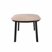 Polly table de jardin en polywood  -  VEBA  - 23311