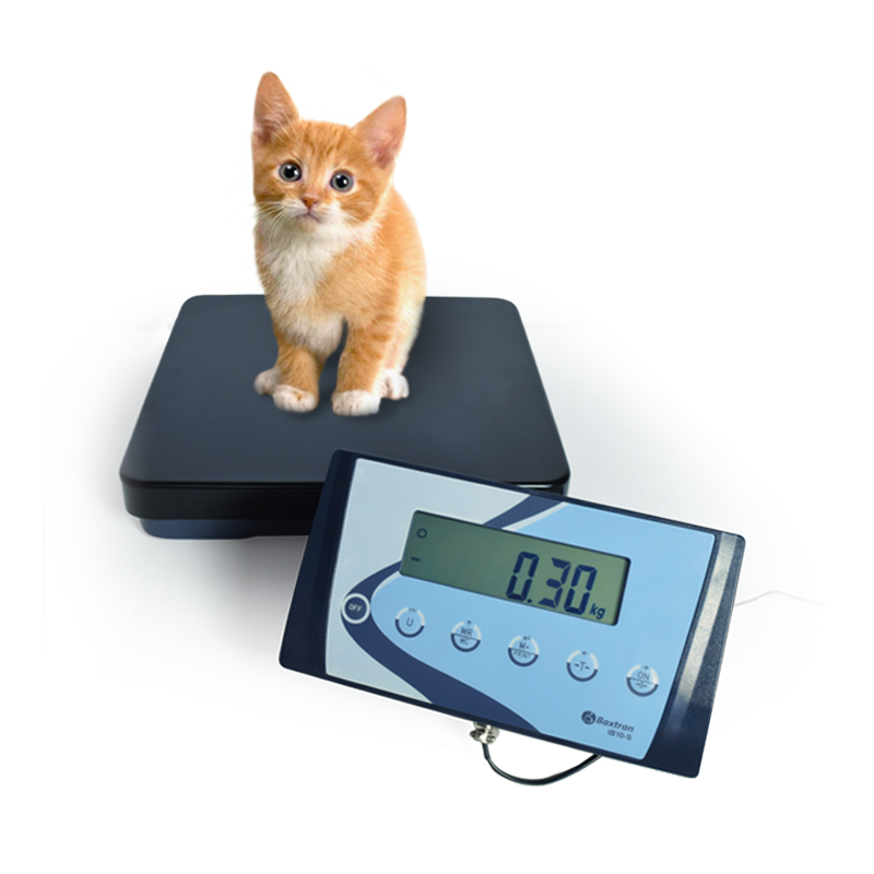Baxtran - BASCULE APS300L AVEC PLATEAU PEINT 950x500 (300kg/100g) - Baxtran - 261360