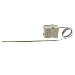 Thermostat Buffalo
