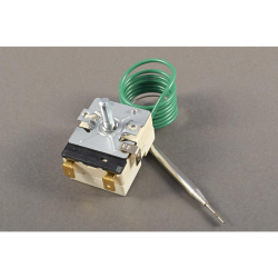 Thermostat LH Buffalo