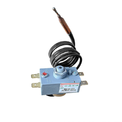 Thermostat Buffalo