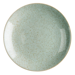 Assiettes plates bleu vert...