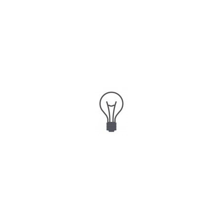 Gloeilamp voor verwarmingslamp