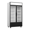 R&eacute;frig&eacute;rateur 2 portes en verre fcu-750 - Combisteel - 7455.2105