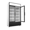 R&eacute;frig&eacute;rateur 2 portes en verre fcu-750 - Combisteel - 7455.2105