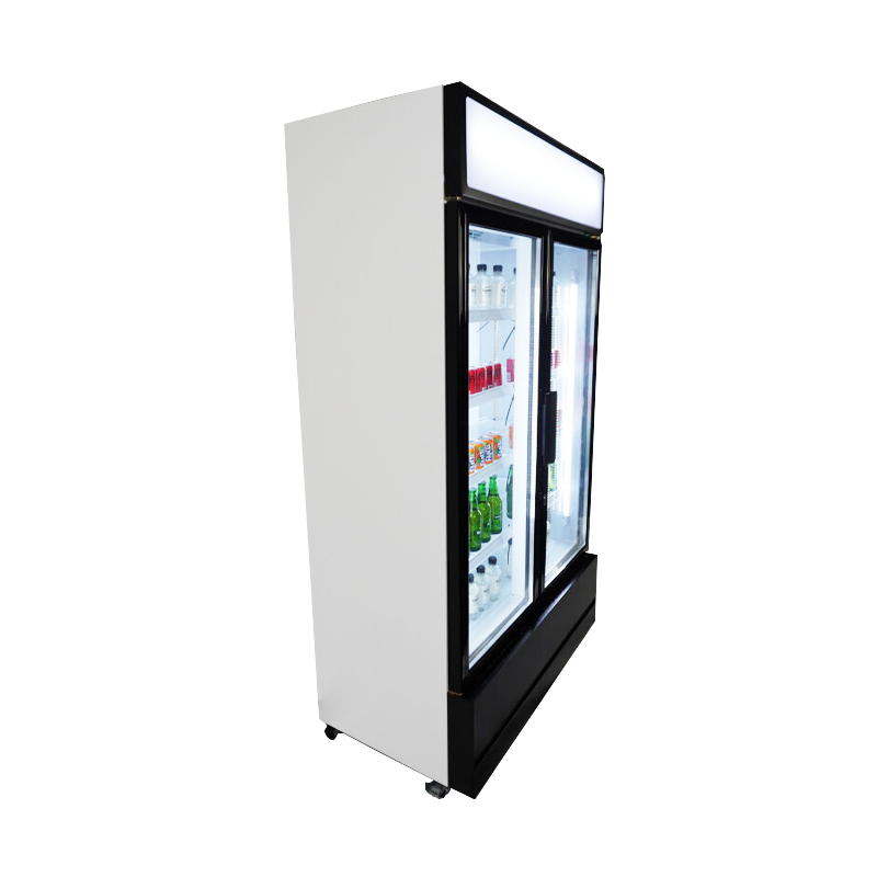 R&eacute;frig&eacute;rateur 2 portes en verre fcu-750 - Combisteel - 7455.2105