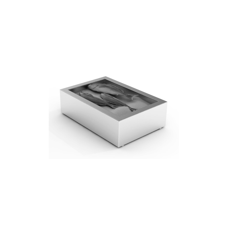 Bac &agrave; glace pil&eacute;e en construction 1/1 gn - Combisteel - 7013.2700