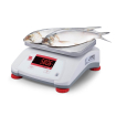 Balance Valor 2000 ABS - Ohaus