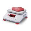 Valor 4000 ABS weegschaal - Ohaus